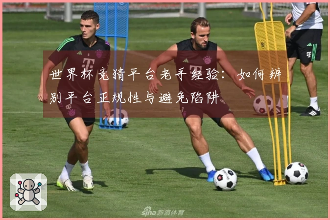 世界杯竞猜平台老手经验：如何辨别平台正规性与避免陷阱
