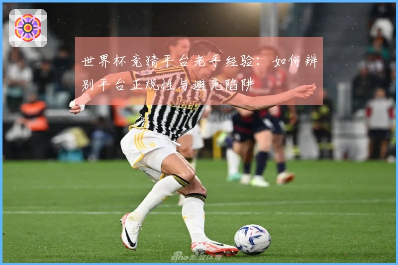 世界杯竞猜平台老手经验：如何辨别平台正规性与避免陷阱