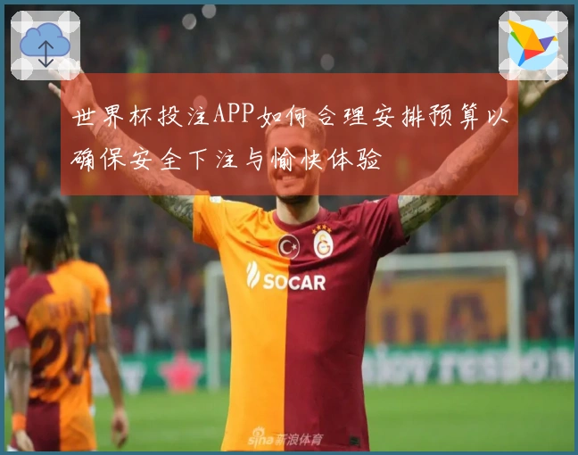 世界杯投注APP如何合理安排预算以确保安全下注与愉快体验