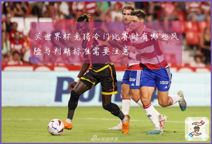 买世界杯竞猜冷门比赛时有哪些风险与判断标准需要注意
