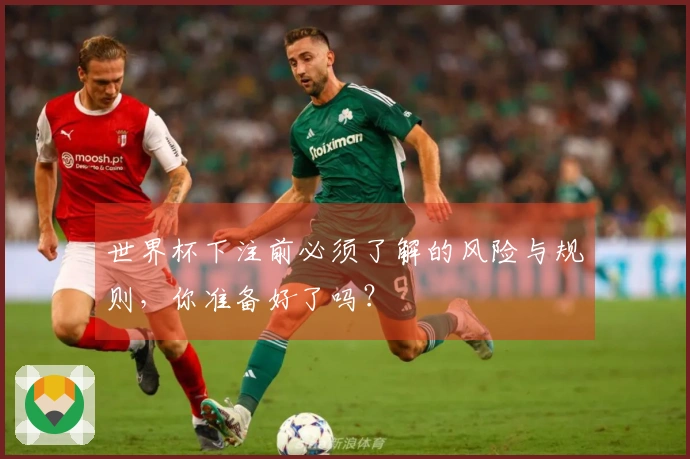 世界杯下注前必须了解的风险与规则，你准备好了吗？