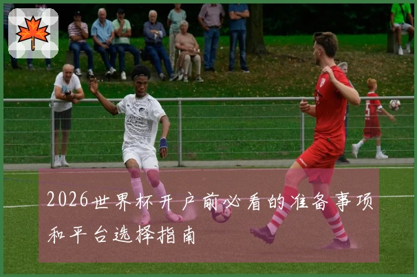 2026世界杯开户前必看的准备事项和平台选择指南