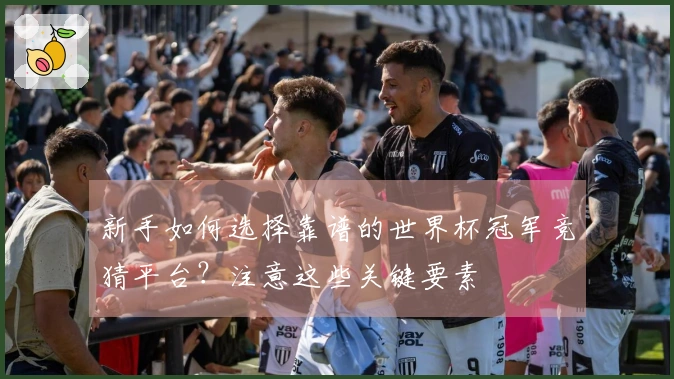 新手如何选择靠谱的世界杯冠军竞猜平台？注意这些关键要素