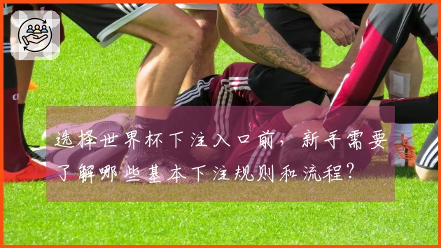 选择世界杯下注入口前，新手需要了解哪些基本下注规则和流程？