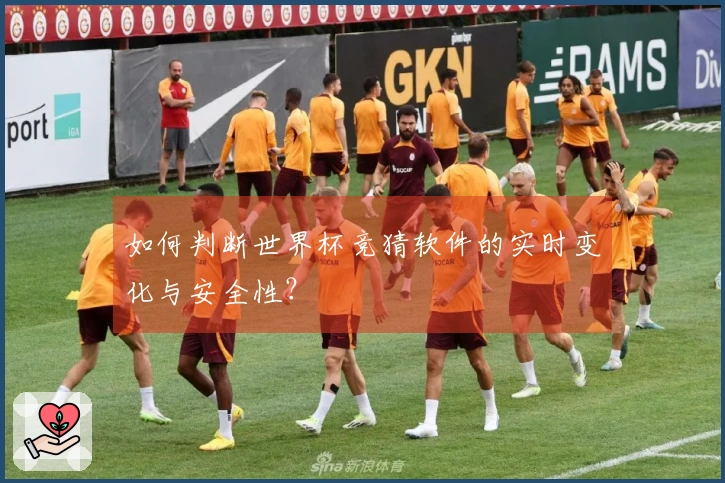 如何判断世界杯竞猜软件的实时变化与安全性？