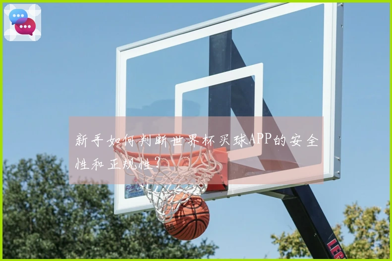 新手如何判断世界杯买球APP的安全性和正规性？