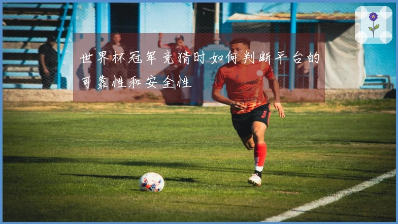 世界杯冠军竞猜时如何判断平台的可靠性和安全性