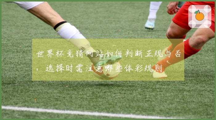 世界杯竞猜网站如何判断正规与否，选择时需注意哪些体彩规则
