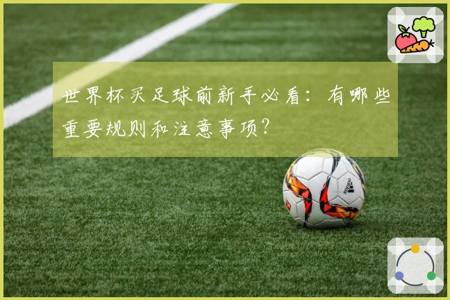世界杯买足球前新手必看：有哪些重要规则和注意事项？