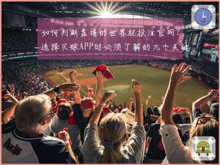 如何判断靠谱的世界杯投注官网？选择买球APP时必须了解的几个关键要素