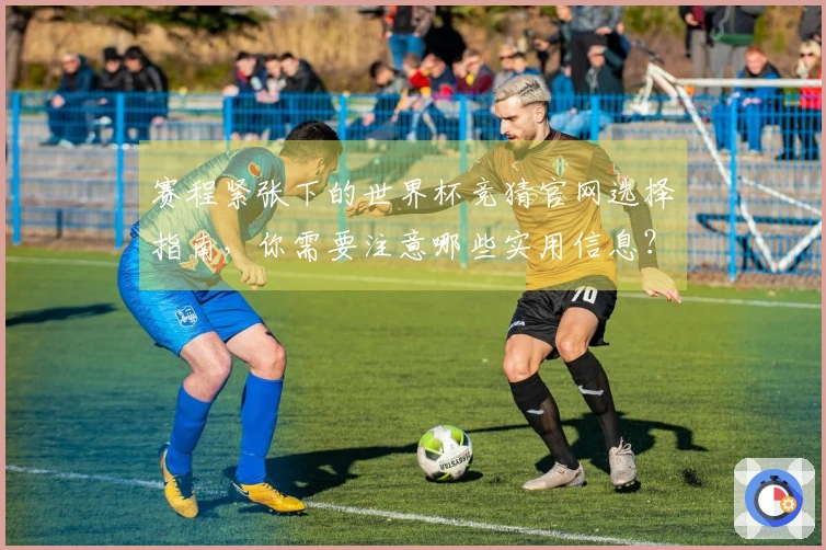 赛程紧张下的世界杯竞猜官网选择指南，你需要注意哪些实用信息？