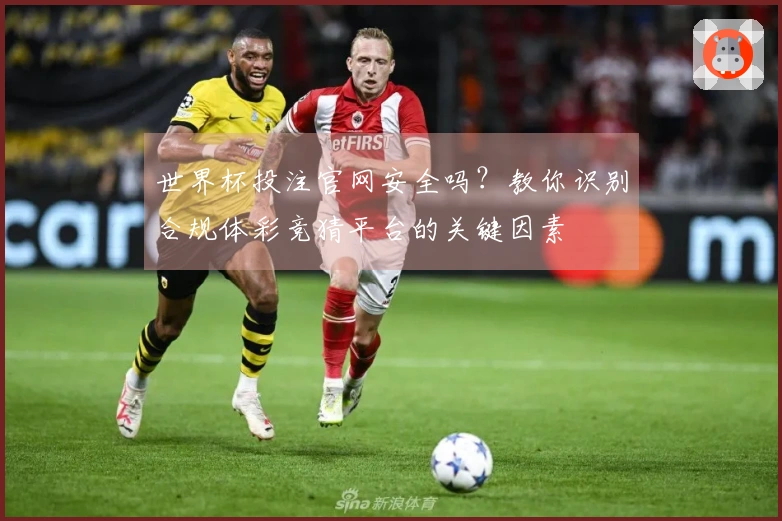 世界杯投注官网安全吗？教你识别合规体彩竞猜平台的关键因素