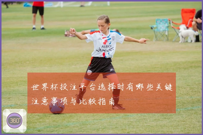 世界杯投注平台选择时有哪些关键注意事项与比较指南