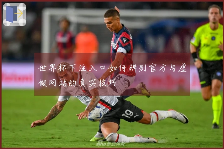 世界杯下注入口如何辨别官方与虚假网站的真实技巧