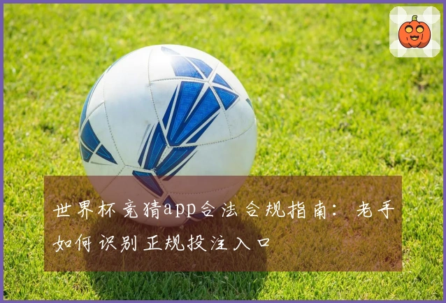 世界杯竞猜app合法合规指南：老手如何识别正规投注入口