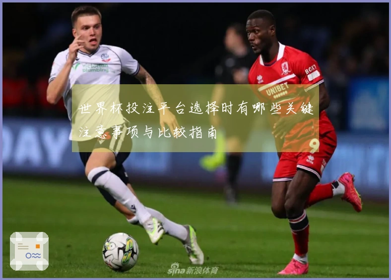 世界杯投注平台选择时有哪些关键注意事项与比较指南