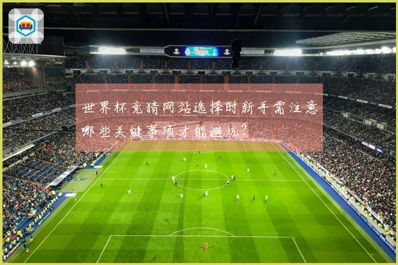 世界杯竞猜网站选择时新手需注意哪些关键事项才能避坑？