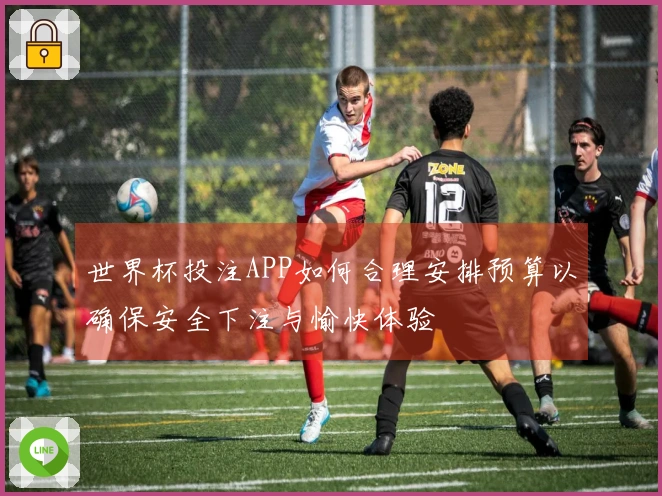 世界杯投注APP如何合理安排预算以确保安全下注与愉快体验