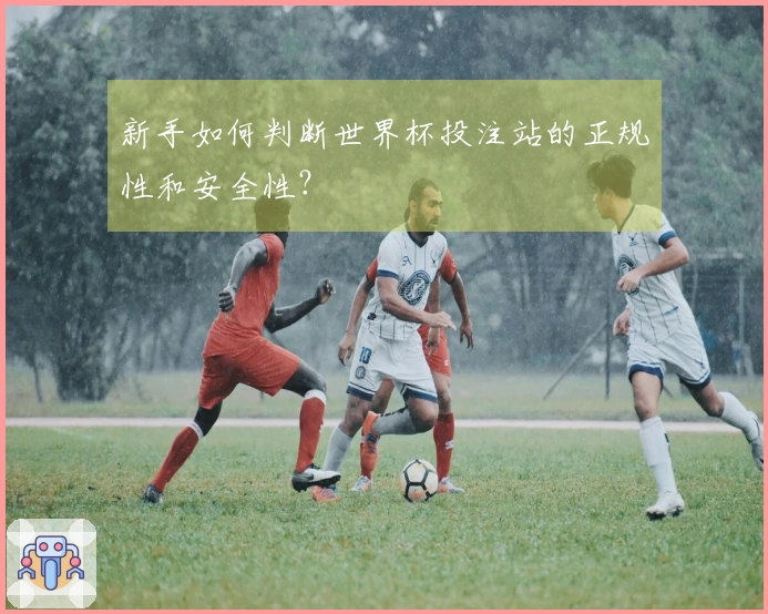 新手如何判断世界杯投注站的正规性和安全性？