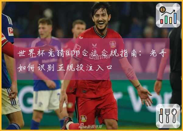 世界杯竞猜app合法合规指南：老手如何识别正规投注入口