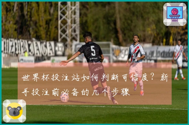 世界杯投注站如何判断可信度？新手投注前必备的几个步骤